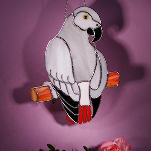 African Grey Parrot 1232