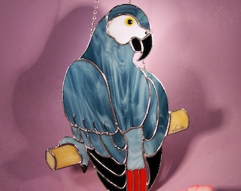 African Grey Parrot  (1217)