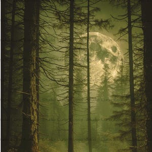 May include: A digital art print featuring a dark, moody forest scene with tall, slender pine trees and a large, luminous full moon glowing in the background. The ground is covered in earthy brown tones, while the atmosphere is filled with a hazy, greenish-yellow mist that creates a sense of depth and mystery throughout the woodland landscape.