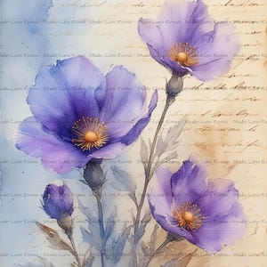 May include: Watercolor painting of purple poppy flowers with yellow centers and gray stems. The background has a vintage paper texture with faded script. The artwork is a botanical illustration.