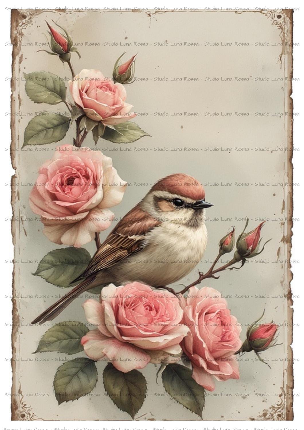 Vintage Bird Among Roses #02 Decoupage Rice Paper A4, for Scrapbooks ...