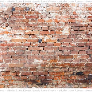May include: A weathered brick wall featuring a mix of red, orange, and brown rectangular bricks with visible mortar joints. The surface displays patches of white, faded plaster and dark, soot-like discoloration across the textured masonry.