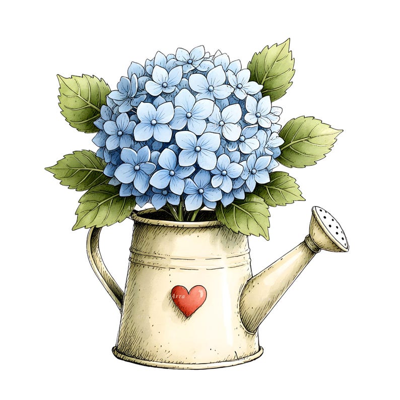 Muted blue hydrangea floral clipart collection featuring botanical flower arrangements, cottage-style containers, loose stems, and decorative hydrangea illustrations on transparent background.