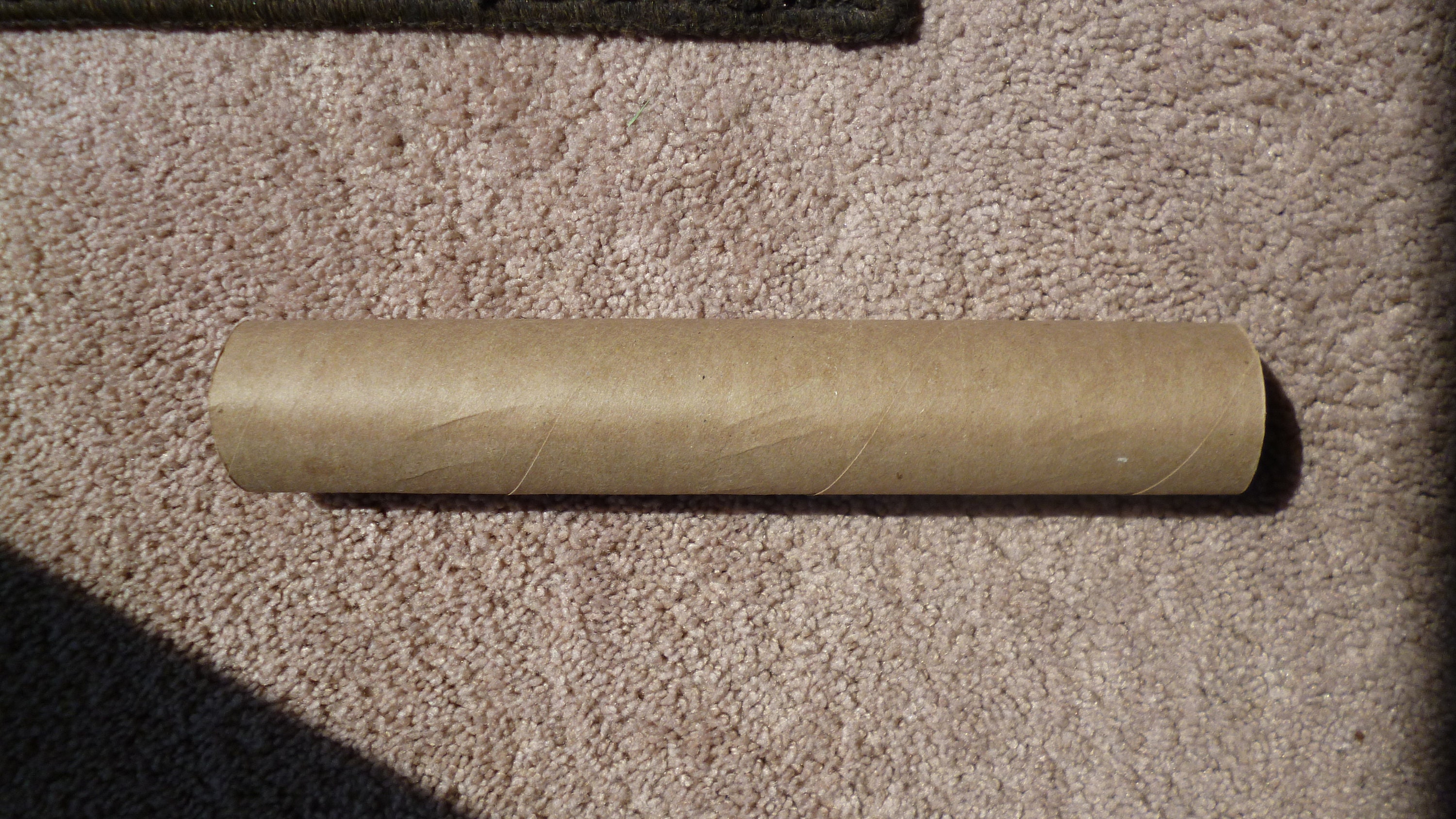 30 Empty Paper Towel Rolls FREE SHIPPING Etsy