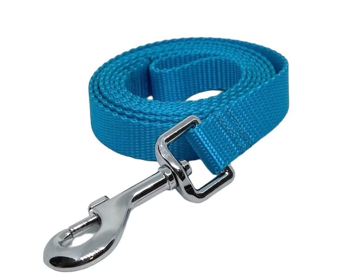 3/4” Turquoise Nylon Dog Leash. Closeout item