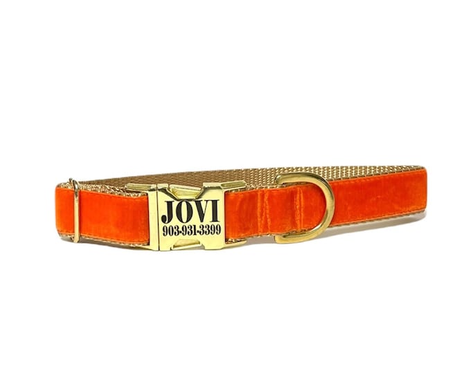 Orange Velvet Personalized Collar. Made in the USA