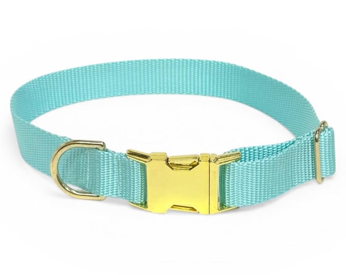 Light Cyan Nylon Dog Collar | Personalization Optional | Tagless ID tag
