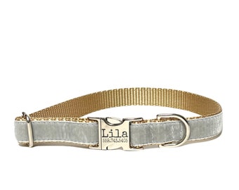 Light Grey Personalized Dog Collar  |  Wedding Day Collar  | Laser Engraved Buckle  | Tagless Dog ID