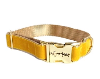 Gold Personalized Dog Collar | Wedding Day Collar | Laser Engraved Buckle | Tagless Dog ID