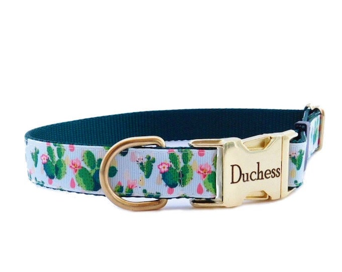 Desert Rose Dog Personalized Dog Collar. Succulent Cacti Print