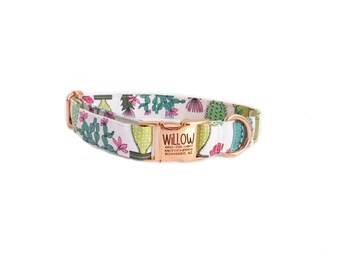 succulent dog collar