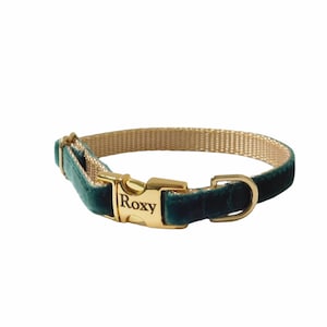 3/8&quot; Dainty Velvet Collar in Evergreen. Tiny Lightweight Thin Collar