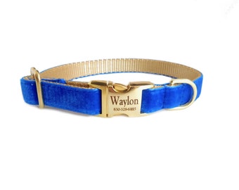 Royal Blue Personalized Dog Collar  |  Wedding Day Collar  | Laser Engraved Buckle  | Tagless Dog ID