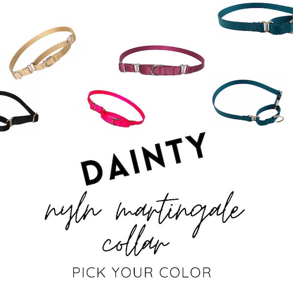 3/8 "Dainty Martingale Collar with no Buckle - Pick your Color - over 15 colors -xxs available