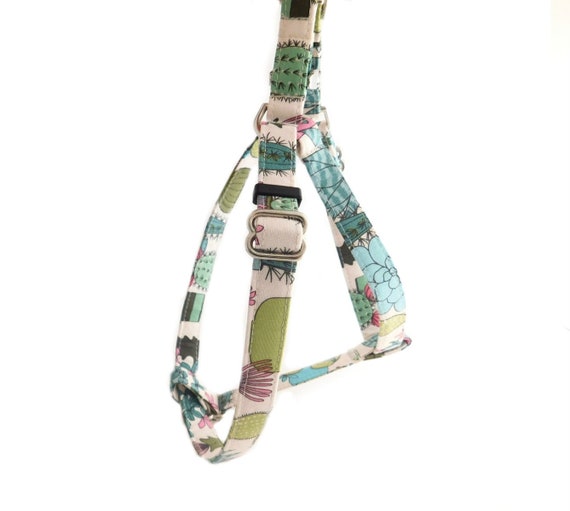 cactus dog harness
