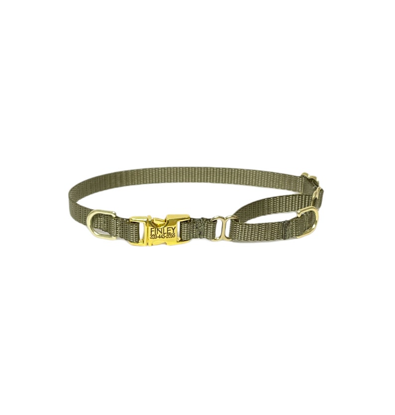 3/8 Dainty Nylon Martingale Collar With Buckle xxs dog collar available tiny collar image 4