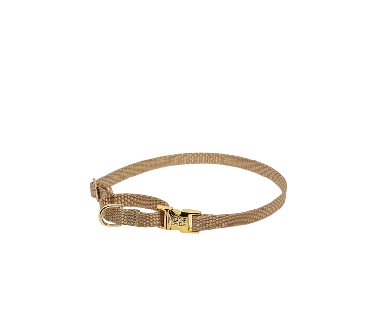3/8 Dainty Nylon Martingale Collar With Buckle xxs dog collar available tiny collar image 3