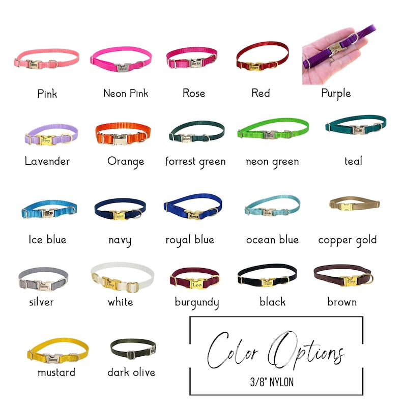 3/8 Dainty Dog Collar Pick your Color over 22 colors xxs size available image 3