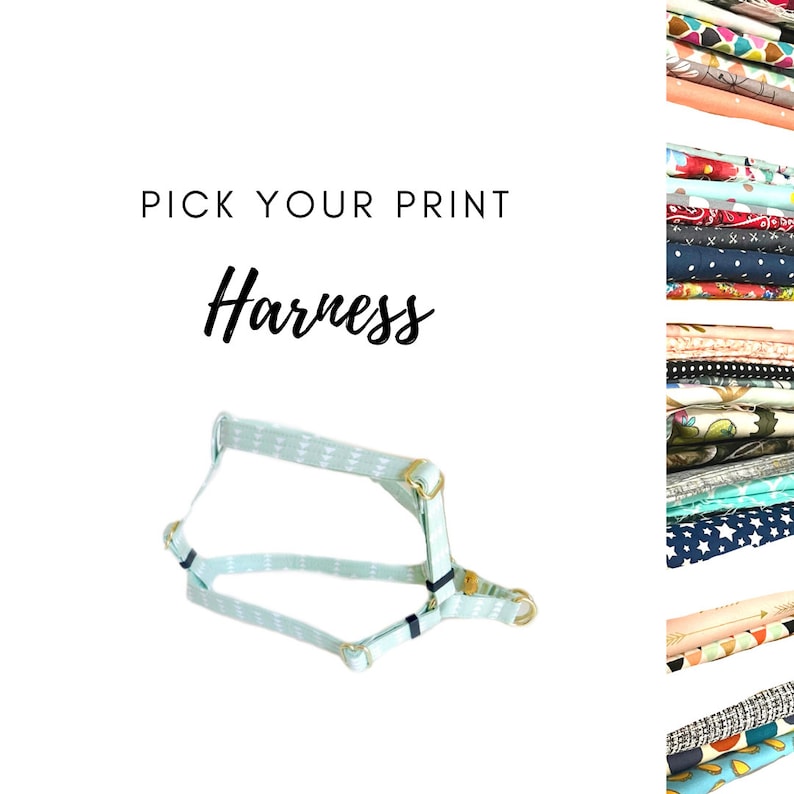 Peut inclure: Un harnais pour chien bleu clair avec un motif g&eacute;om&eacute;trique blanc. Le harnais est dot&eacute; de ferrures m&eacute;talliques dor&eacute;es. Le texte "Pick Your Print Harness" est affich&eacute; au-dessus du harnais.