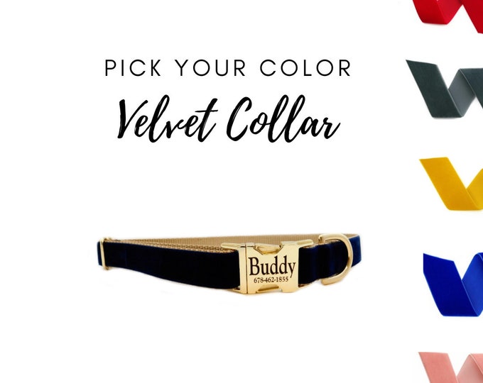 Velvet Personalized Dog Collar  | Pick Your Color  |  Over 25 colors  |   Wedding Day Collar  | Laser Engraved Buckle  | Tagless Dog ID