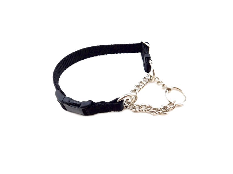 Chain Martingale Dog Collar with a Plastic Buckle Nylon Etsy