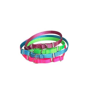 Pick your Color Dainty Martingale Collar with No Buckle. 3/8&quot; Wide. Made in USA