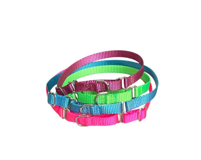 Pick your Color Dainty Martingale Collar with No Buckle. 3/8" Wide. Made in USA