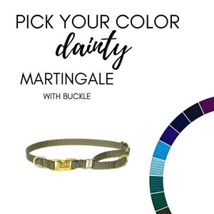 Pick your Color Dainty Nylon Martingale Collar With Buckle. 3/8&quot; Wide.  Handmade in USA. Thin width semi choke collar