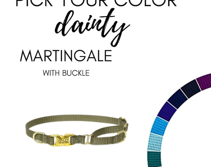 Pick your Color Dainty Nylon Martingale Collar With Buckle. 3/8" Wide.  Handmade in USA. Thin width semi choke collar