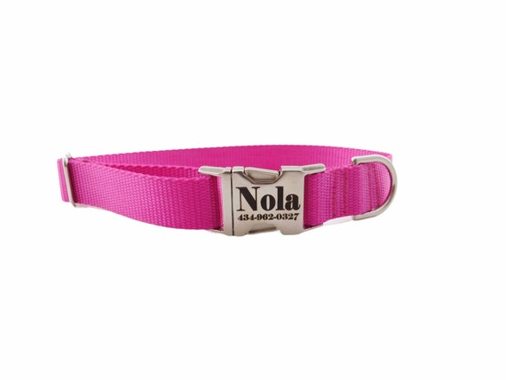 tagless dog collar
