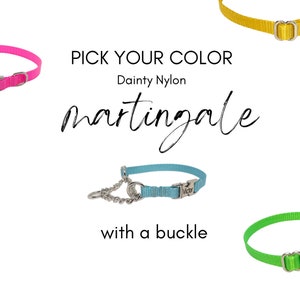 3/8&quot; Dainty Chain Martingale Collar With Buckle&gt; Made in USA. Tagless Dog ID