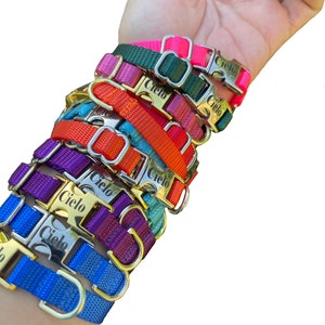 3/8 Dainty Dog Collar Pick your Color over 22 colors xxs size available image 2