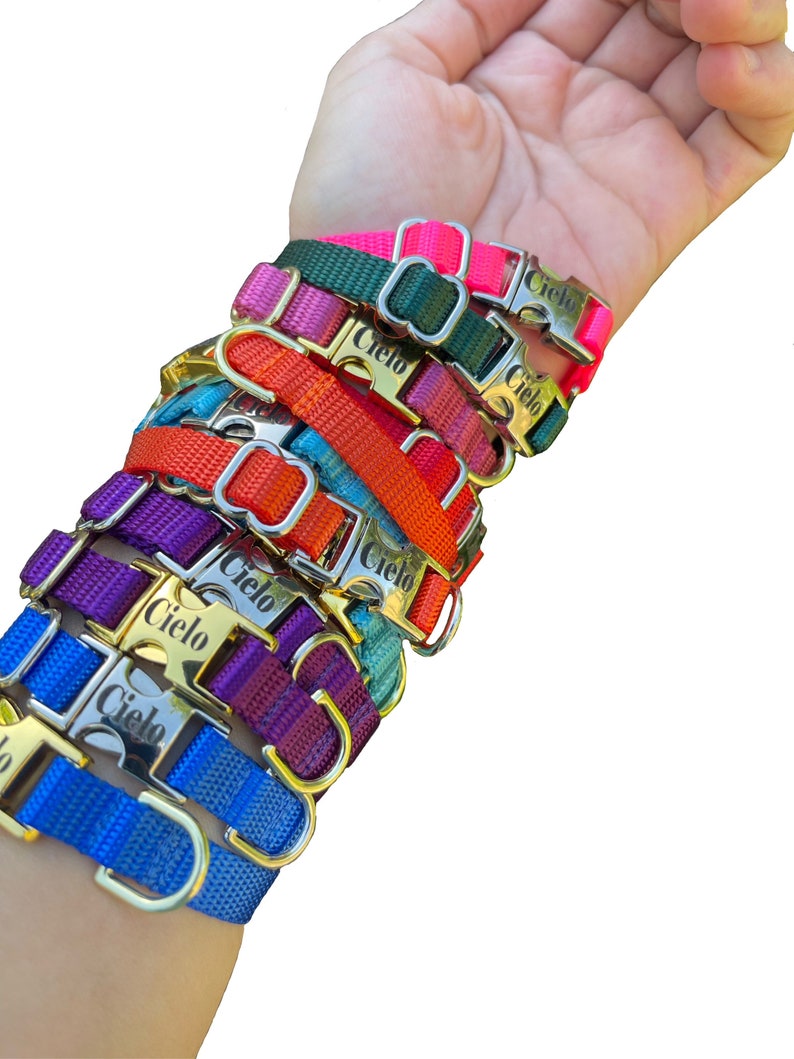 3/8 Dainty Dog Collar Pick your Color over 22 colors xxs size available image 2