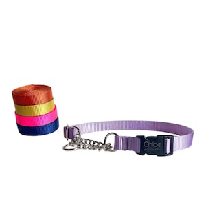 Chain Martingale Collar Pick your Color- Personalized Dog Collar - Made in USA