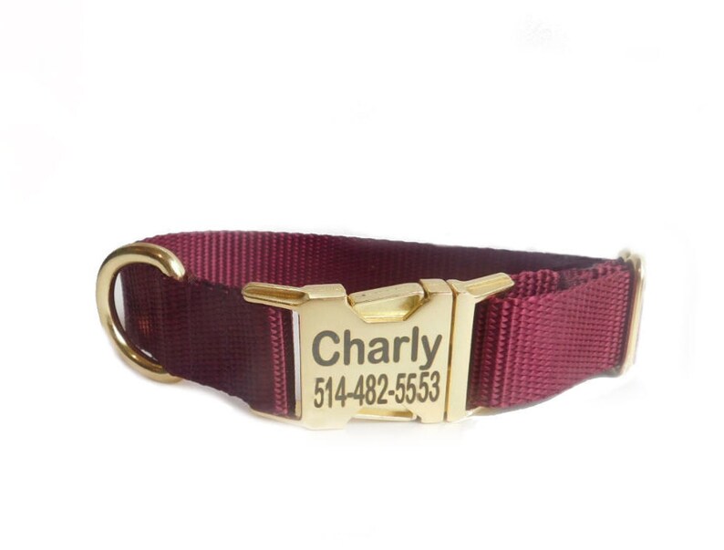 Nylon Personalized Dog Collar Pick your Color Tagless Dog Etsy