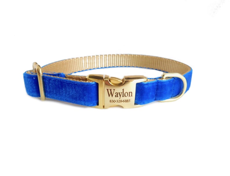 Royal Blue Dog Collar and Leash Set Personalization Optional Etsy