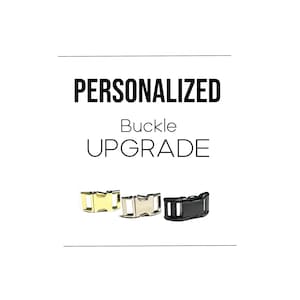 UPGRADE Dog ID Metal Buckle Add-on. This is a upgrade