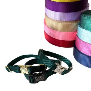 Pick your Color Personalized Nylon Collar. Handmade in USA. Tagless Dog ID