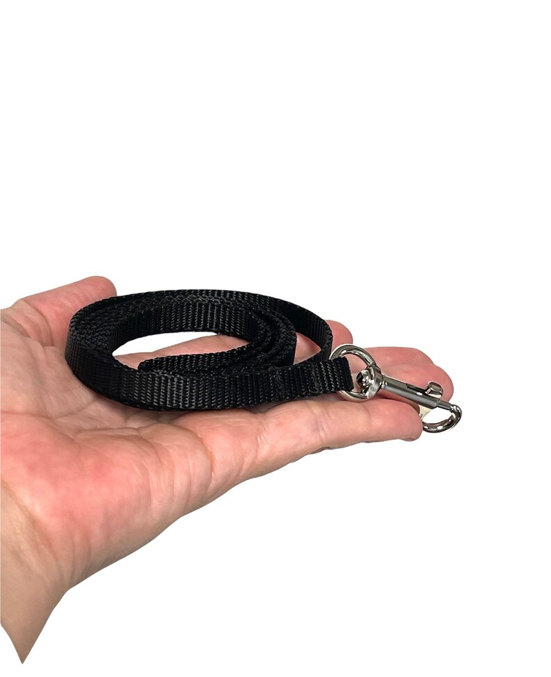 May include: A black nylon lanyard with a silver swivel hook.