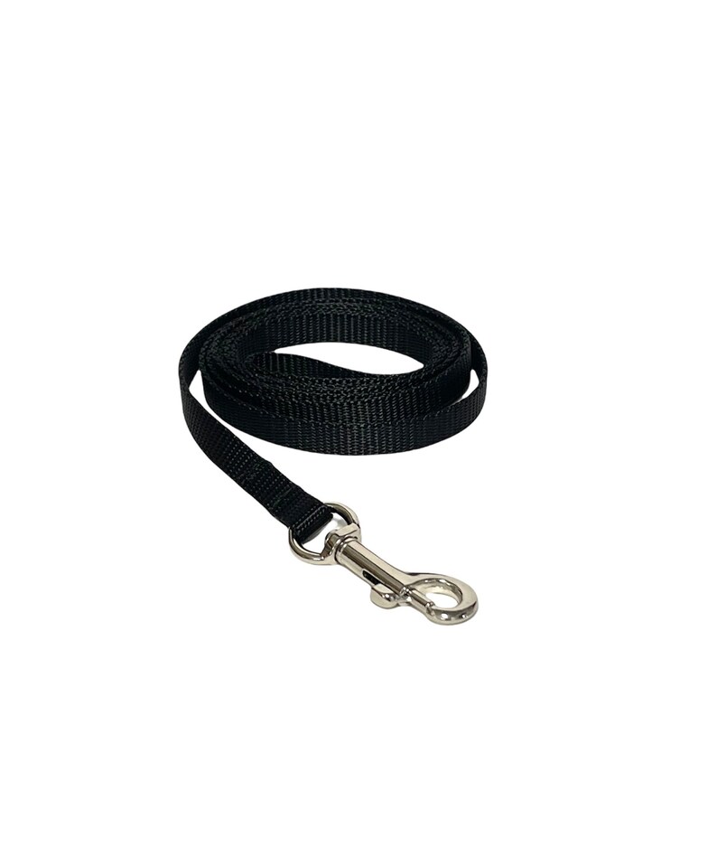 May include: A black nylon dog leash with a silver metal clip.