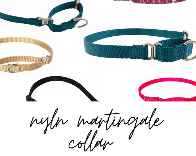 Pick your Color Nylon Martingale Collar.  Over 15 colors. Made in USA