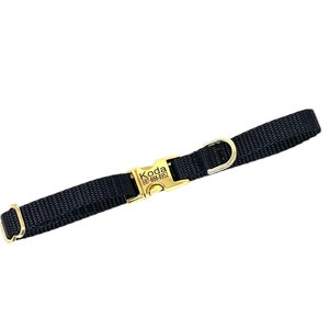 May include: Black nylon dog collar with a gold metal buckle and a gold metal D-ring. The buckle has the name "Koda" and the phone number "867-888-4952" engraved on it.
