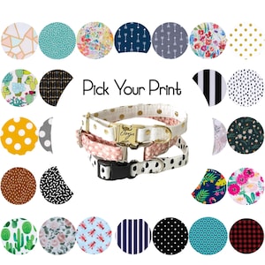 Engraved Dog Collar | Pick your Print | Over 30 Prints