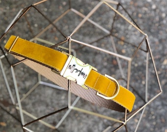 Gold Velvet Personalized Collar. Made in the USA