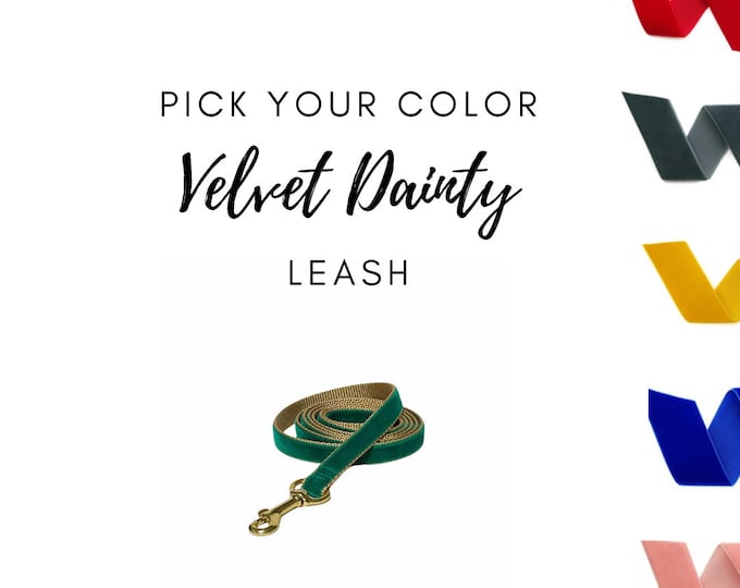 3/8” Dainty Velvet Leash - Pick your Color - over 25 colors