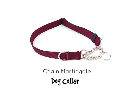 semi choke dog collar