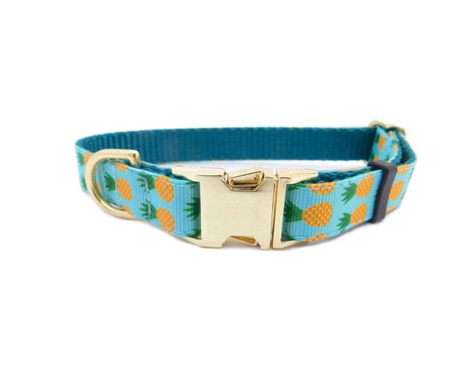Pineapple Dog Collar, Available in Blue