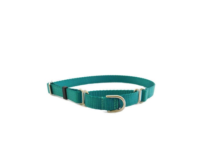 Pick your Color Nylon Martingale Collar.  Over 15 colors. Made in USA