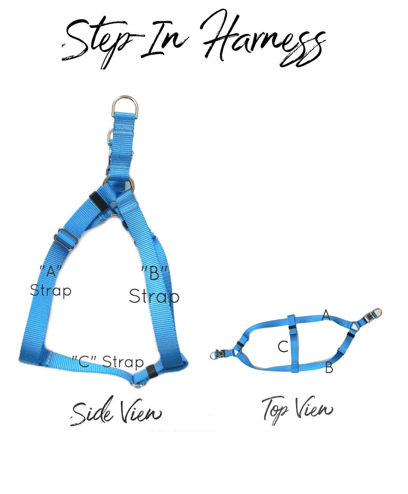 May include: A blue step-in dog harness with three straps labeled "A", "B", and "C". The harness is shown from the side and top views.