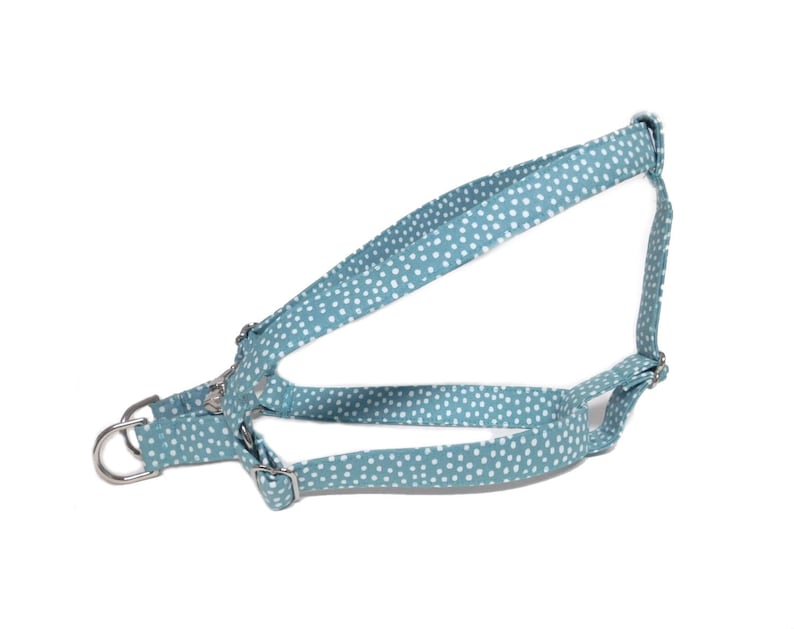 Peut inclure: Un harnais pour chien bleu clair &agrave; pois blancs. Le harnais est dot&eacute; de sangles r&eacute;glables et d'une boucle en m&eacute;tal.